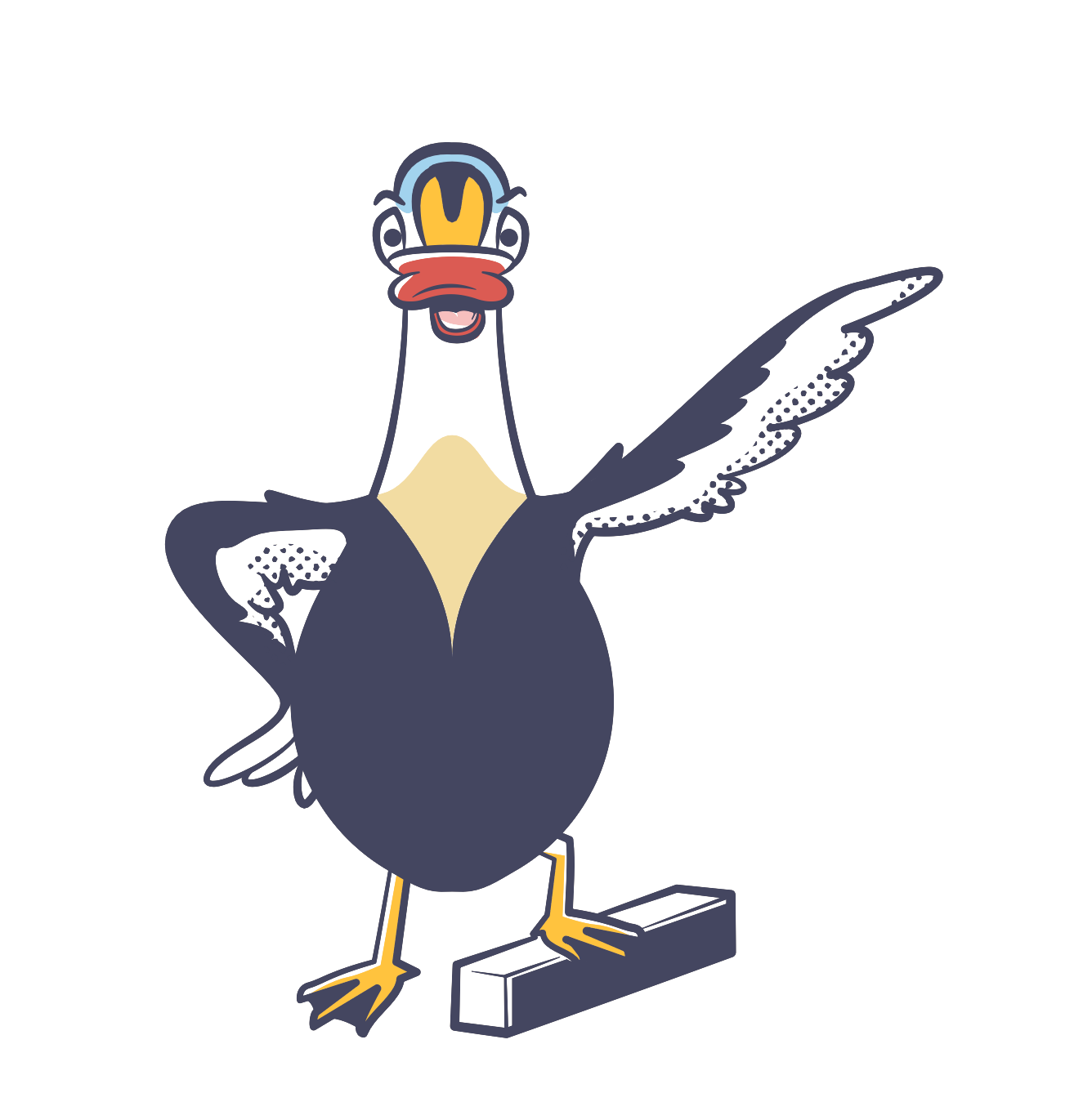 Sea Duck